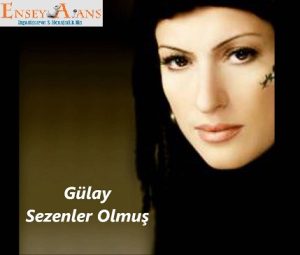 Gülay Sahne Konser Fiyatı,