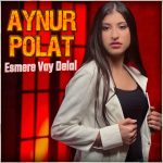 Sanatçı Aynur Polat konser,
