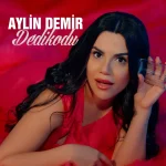 Aylin Demir konser fiyat teklifi,