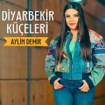 Aylin Demir organizasyon iletişim,