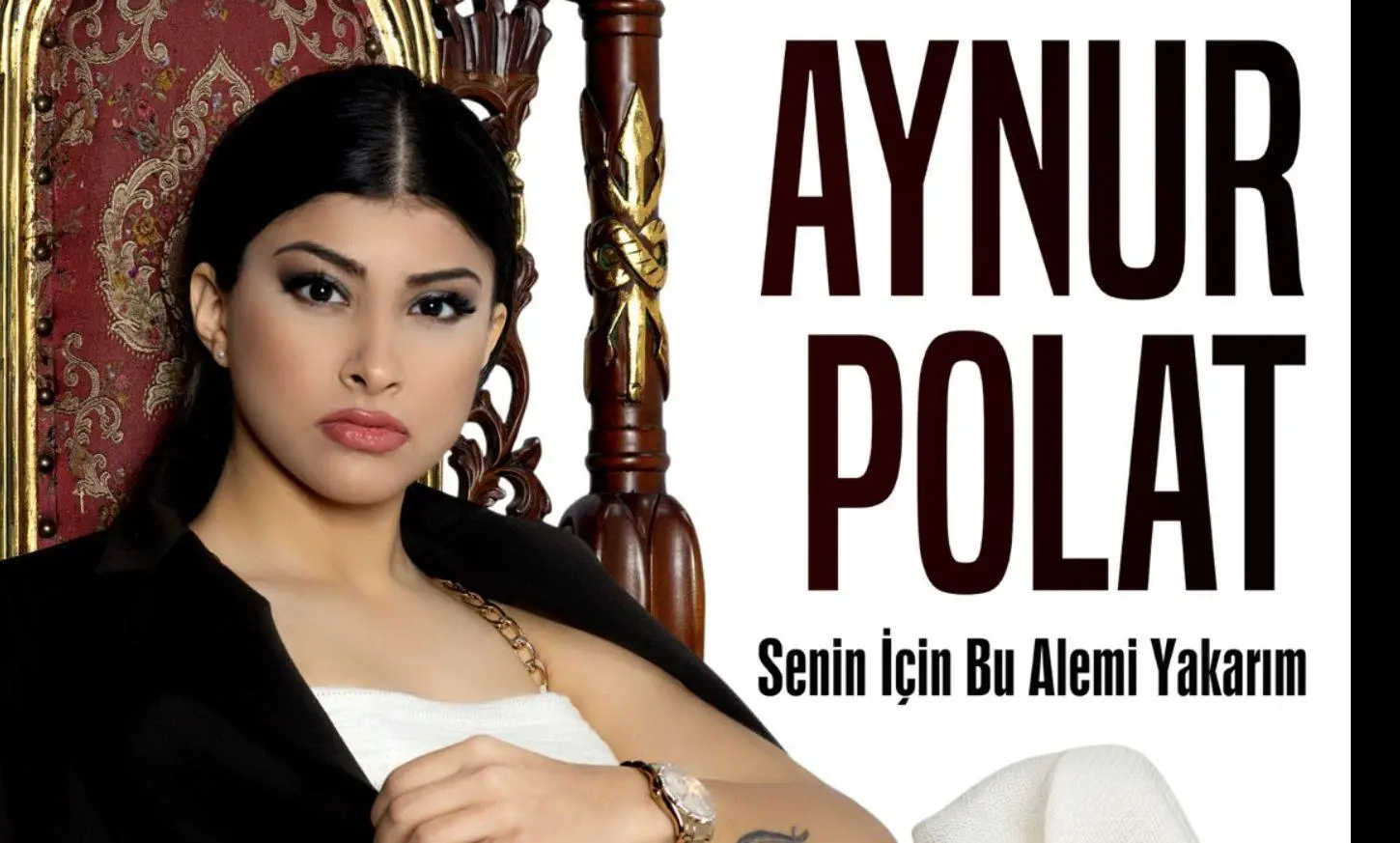 Türk Dj Fiyatları,