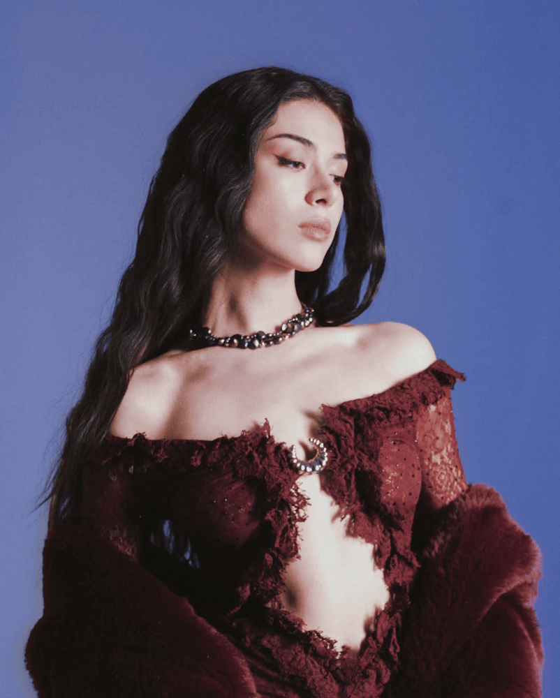 M Lisa sahne bütçeleri ve sanatçı menajerliği,