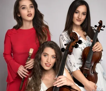 2020 Sanatçı Fiyatları Listesi,